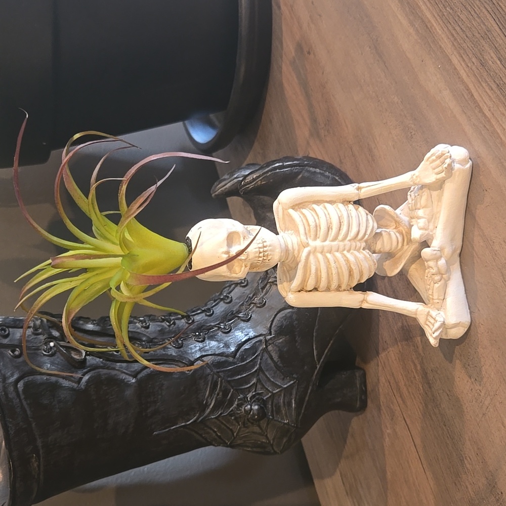 Skeleton Faux Air Plant